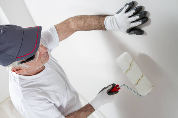 Best Drywall Removal and Disposal  in West Point, UT